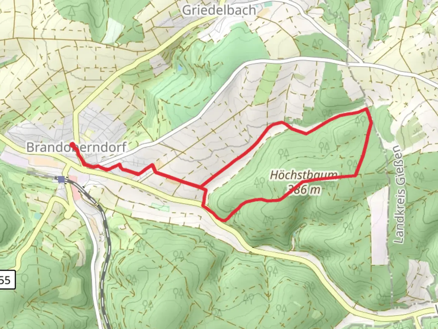 An image depicting the trail Höchstbaum Loop and its surrounding area.