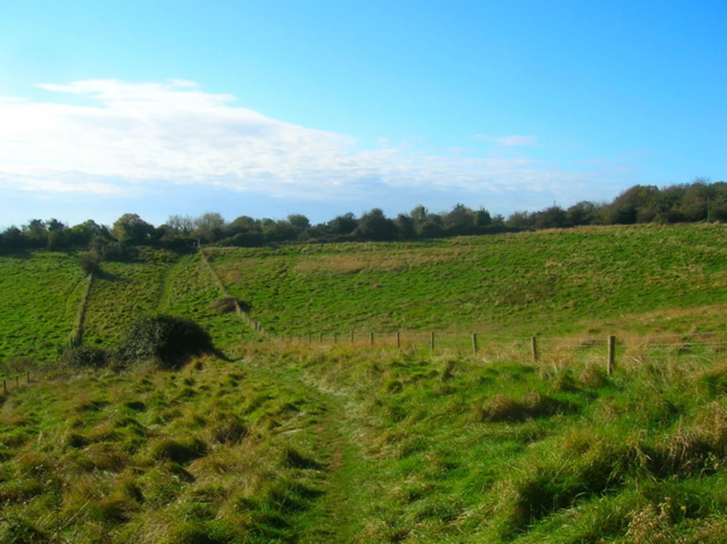 An image depicting the trail Coombes Country Park Loop and its surrounding area.