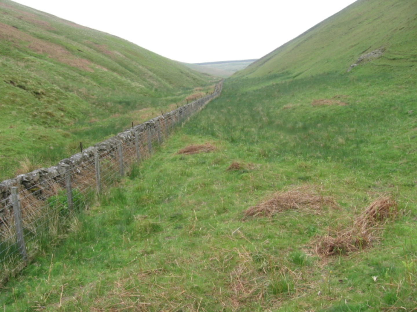 An image depicting the trail Newtown - Whale and Askham Loop and its surrounding area.