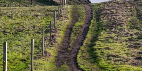 An image depicting the trail Sandstone Trail and its surrounding area.