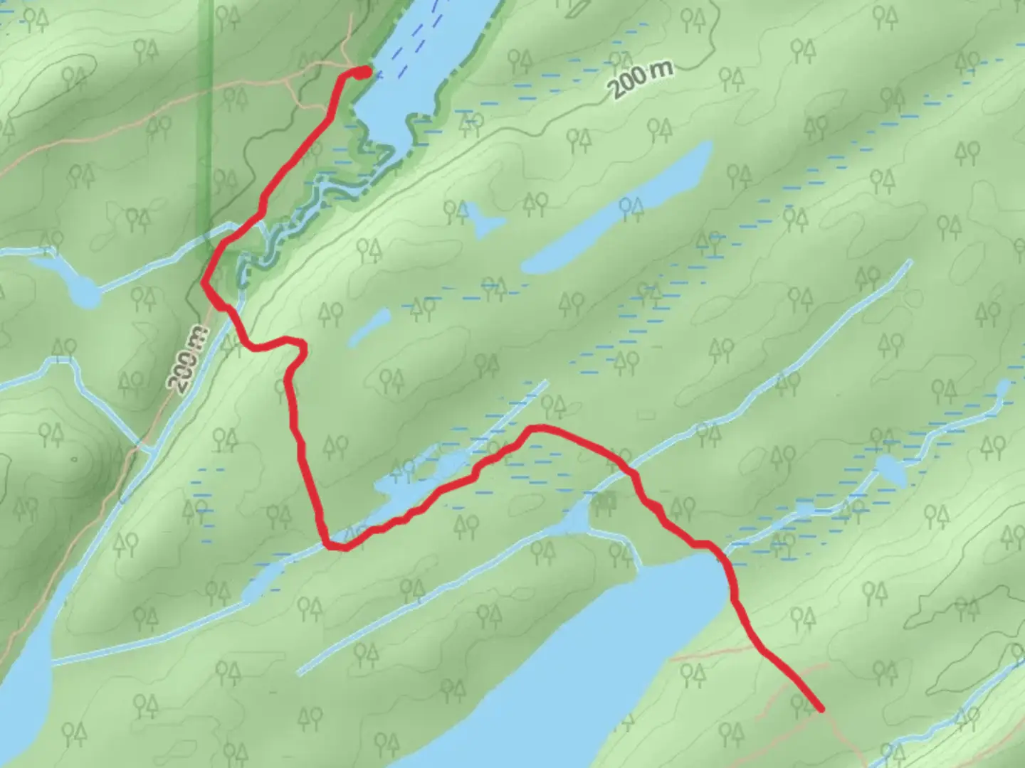 An image depicting the trail East Chickenbone Lake via McCargoe Cove Campground Trail and its surrounding area.