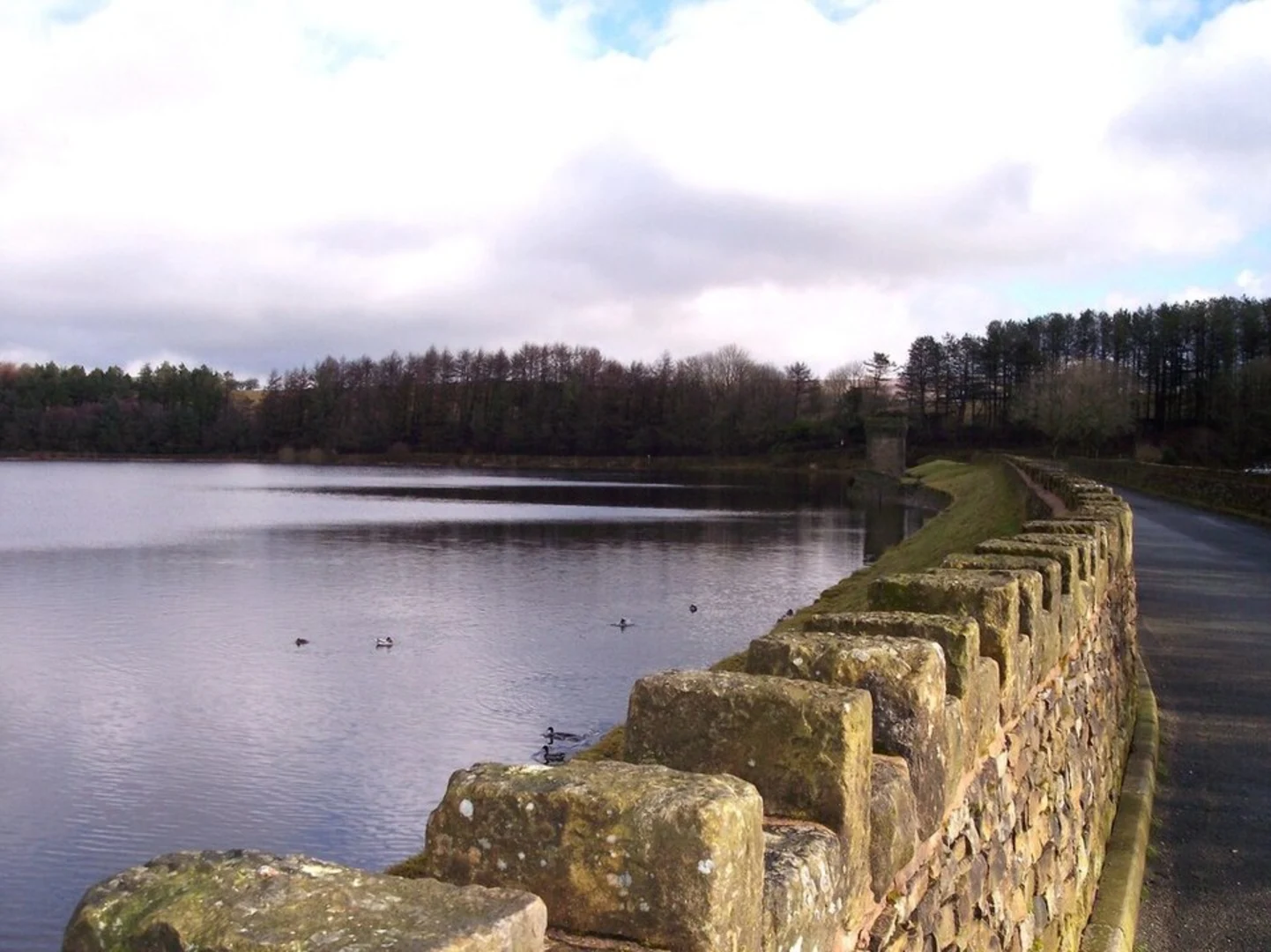 An image depicting the trail Entwistle Reservoir Loop and its surrounding area.