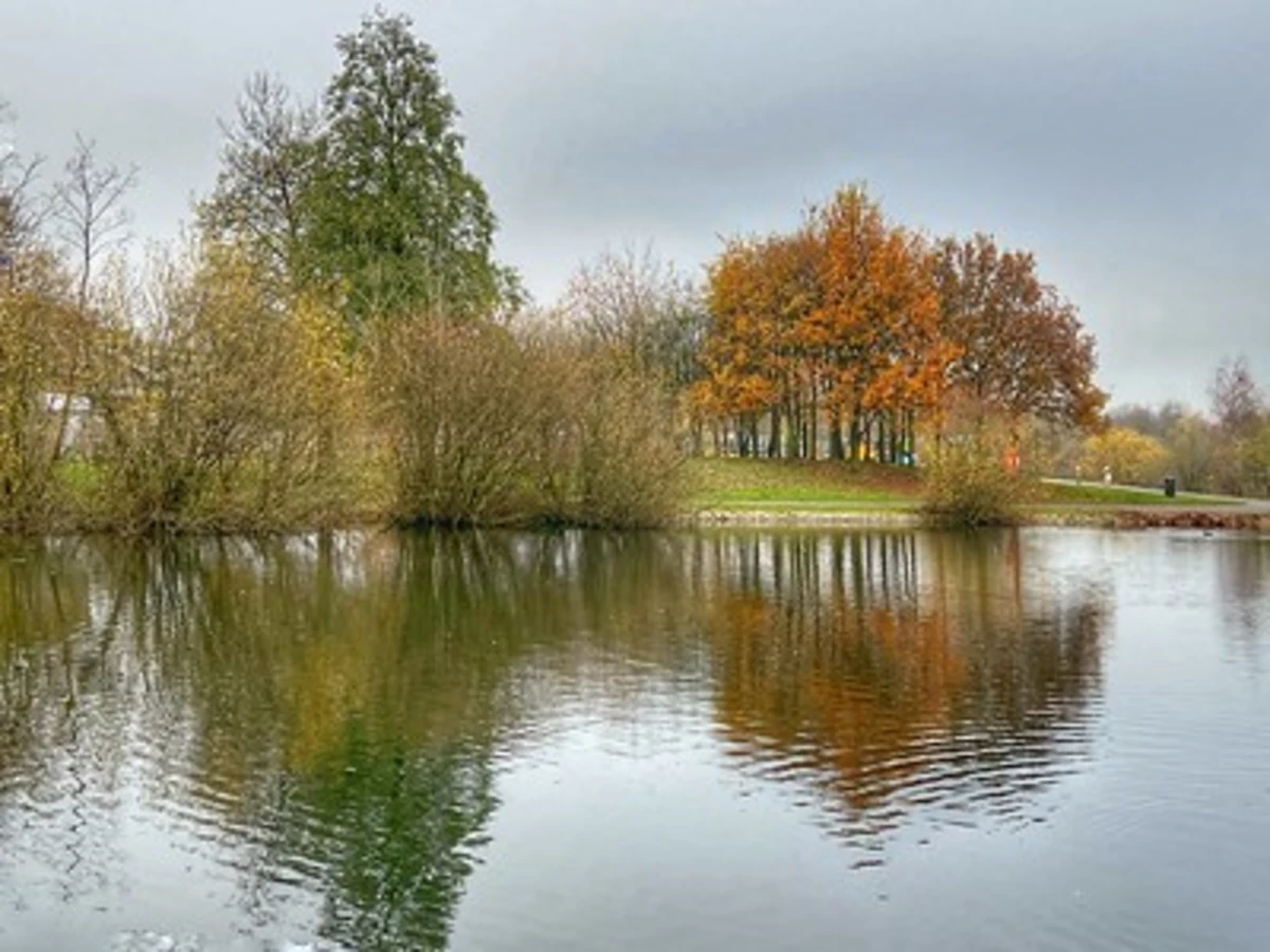 Chasewater Country Park