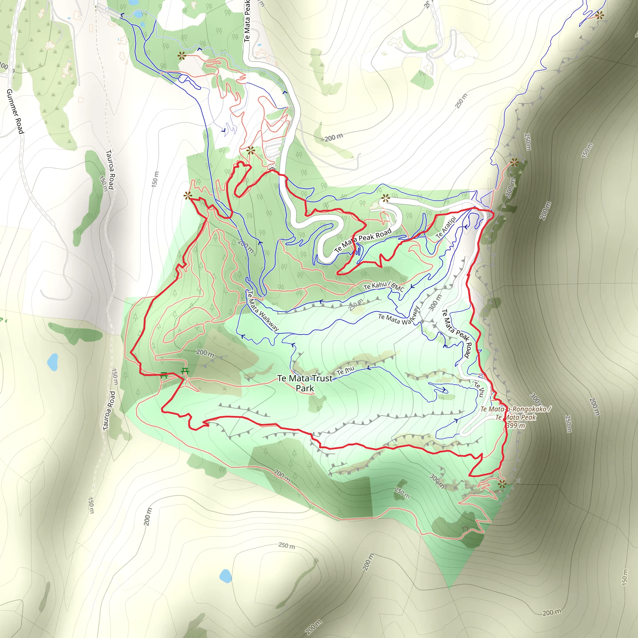 Rongokako Trail Loop from Summit mobile static map