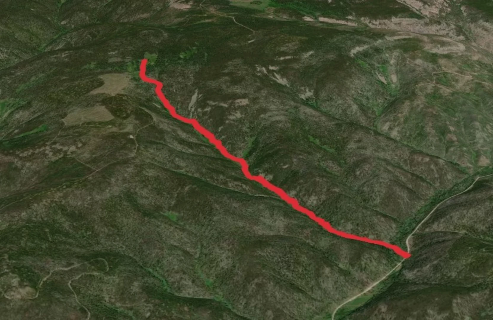 An image depicting the trail Allen Creek Trail and its surrounding area.