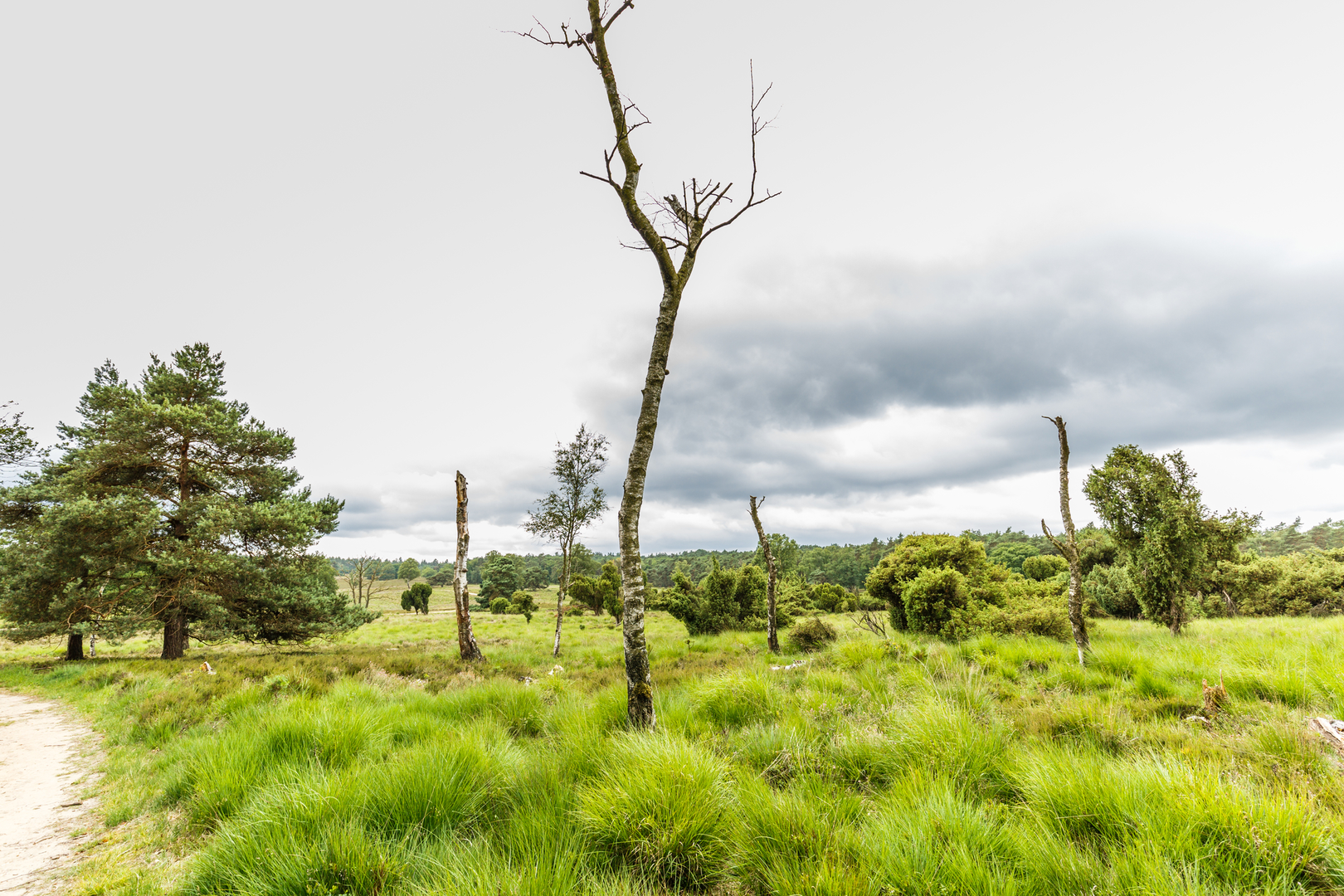 An image depicting the trail Schansenberg, Varenna and Trapjesberg Loop and its surrounding area.