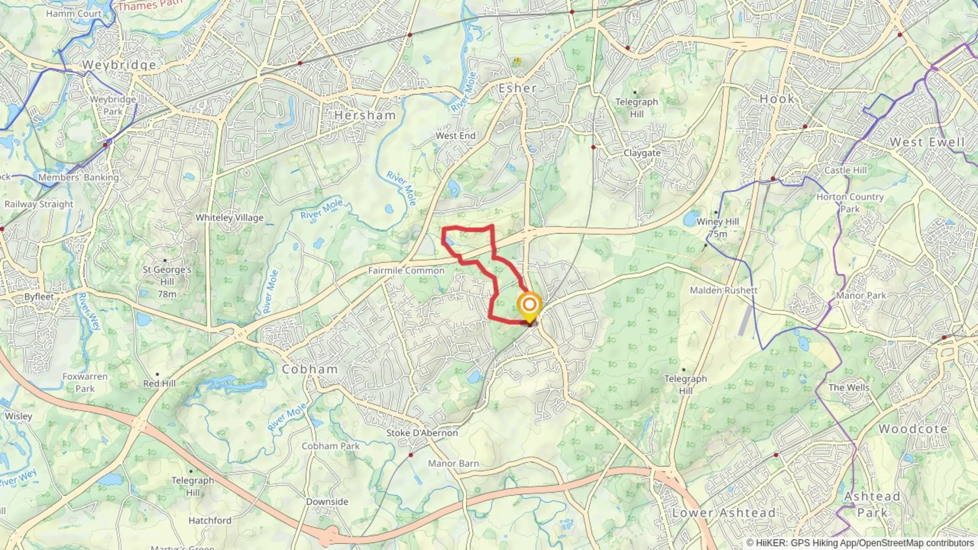 An image depicting the trail Esher Common, Black Pond and Oxshott Heath Loop and its surrounding area.