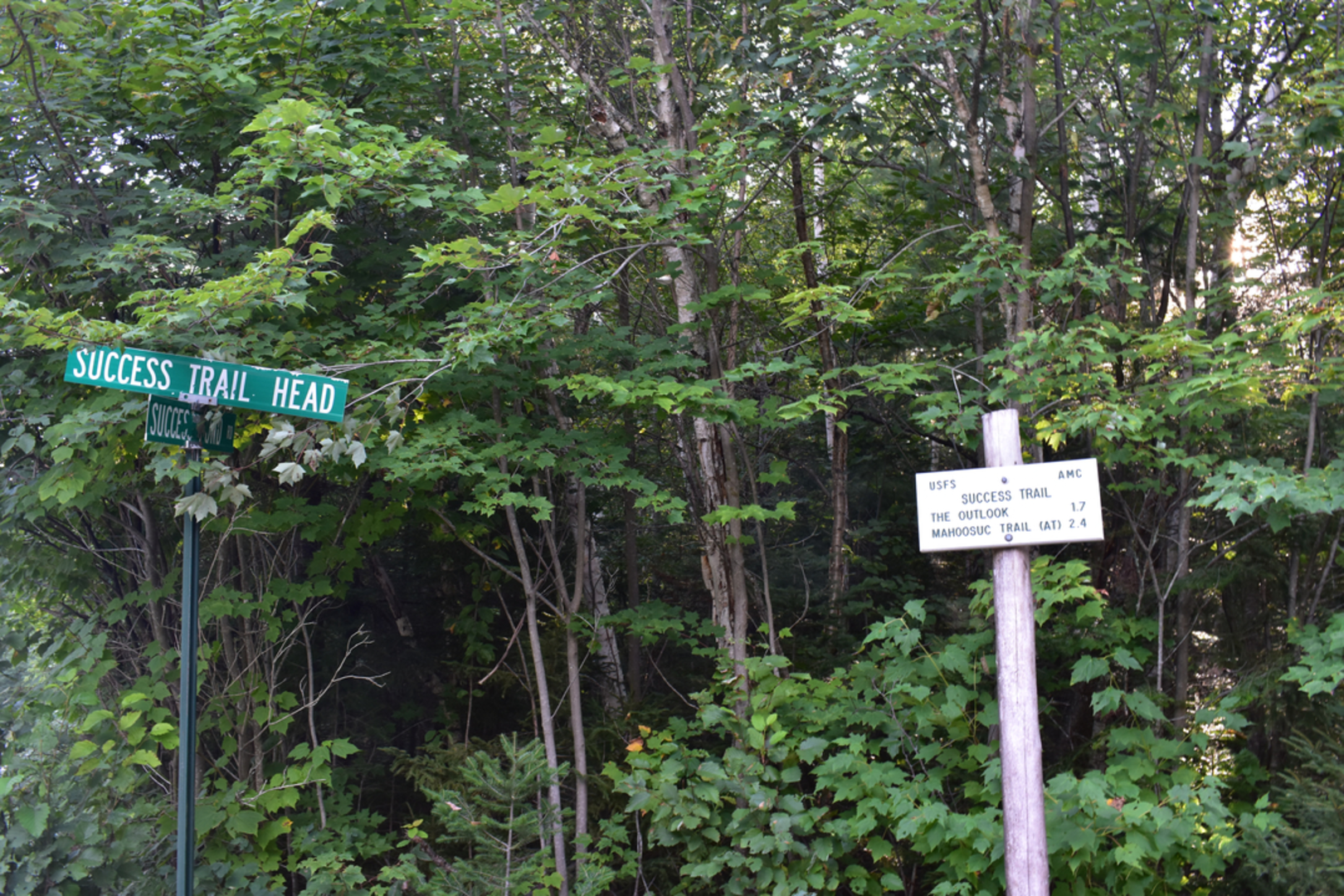 An image depicting the trail Success Trail and its surrounding area.