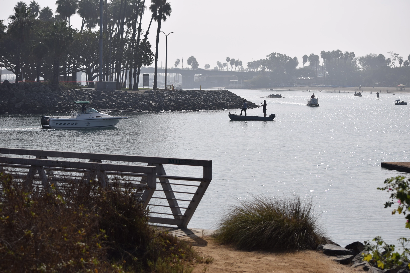 An image depicting the trail Boathouse Lane and its surrounding area.