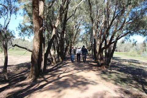 Warrego Floodplain Track