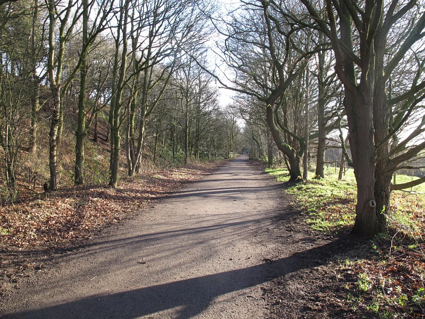 An image depicting the trail Roughwood and Cheshire Ring Canal Walk and its surrounding area.