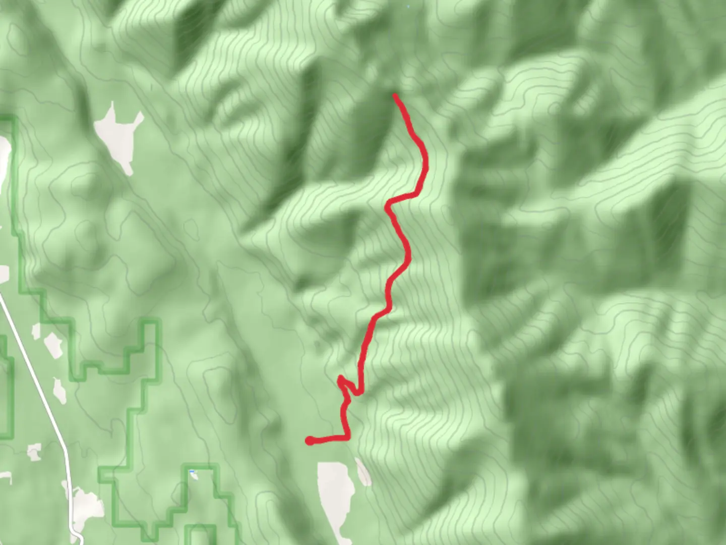 An image depicting the trail Pine - Newton Trail and its surrounding area.