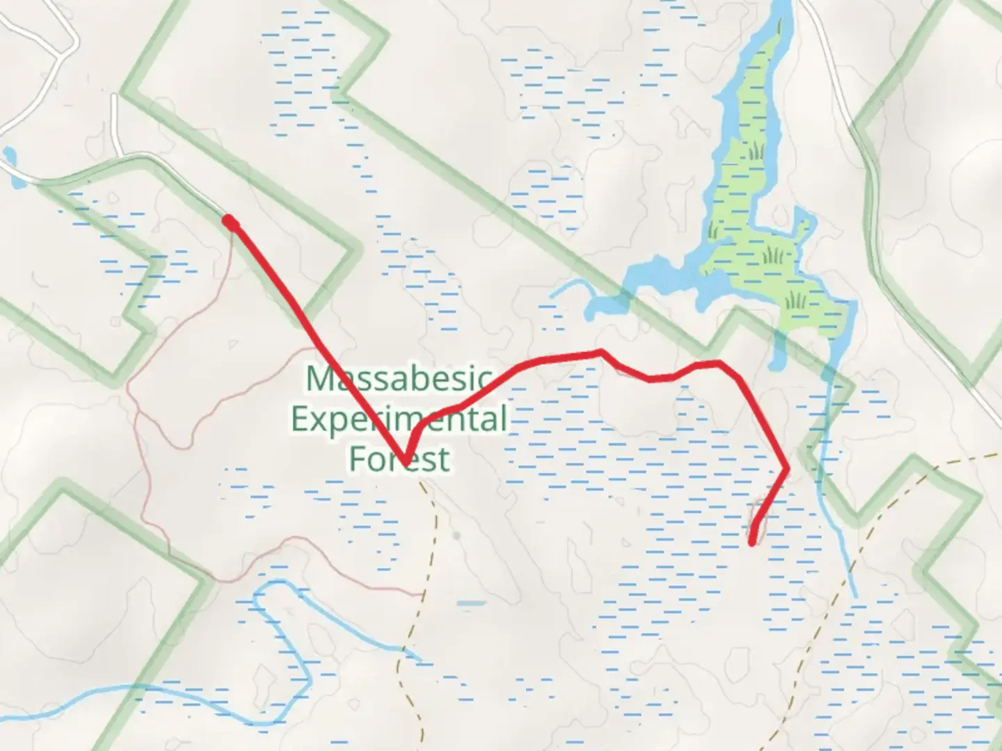 An image depicting the trail Days Woods Road Out and Back and its surrounding area.