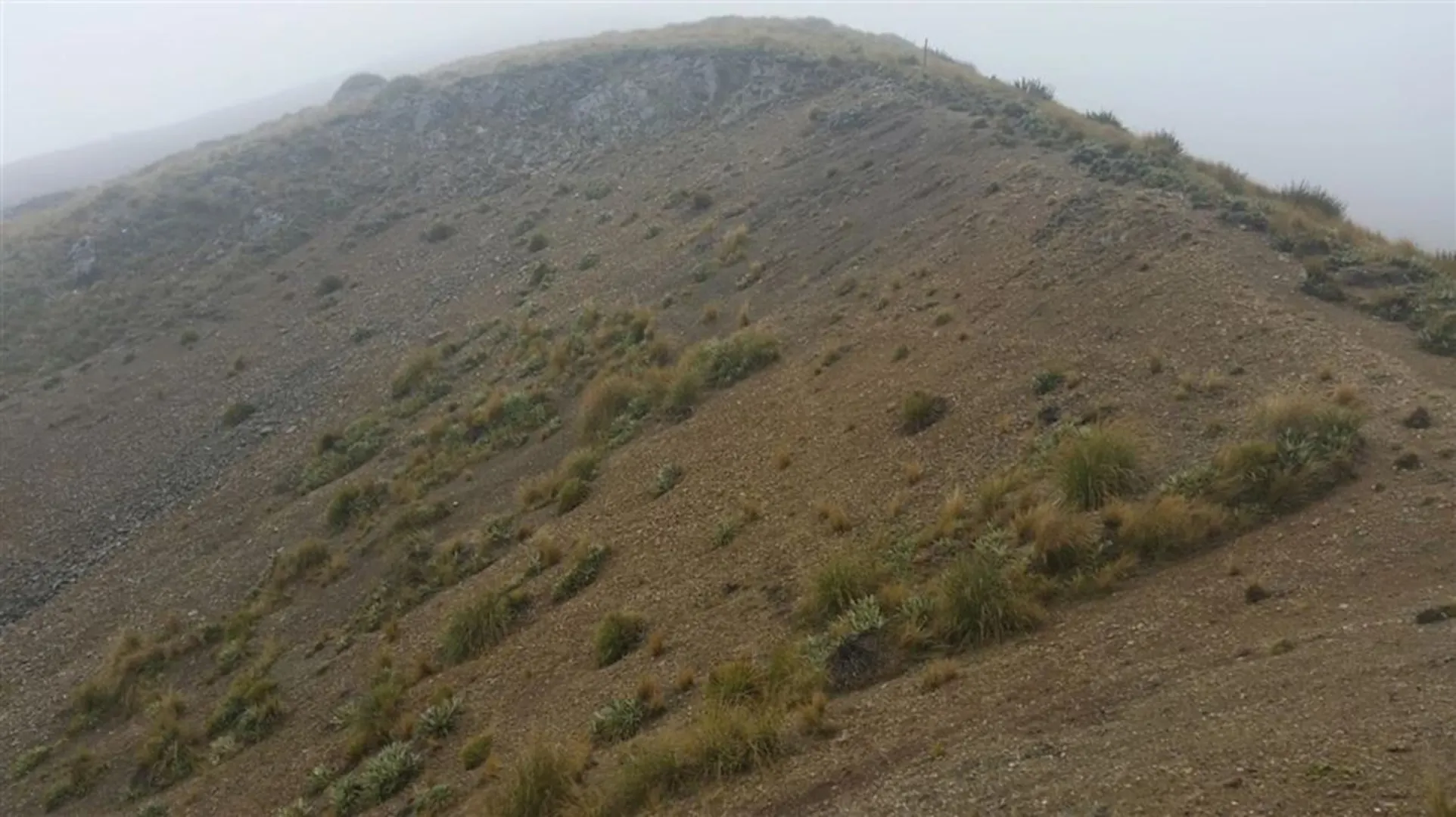 An image depicting the trail Mount Barrosa Track and its surrounding area.