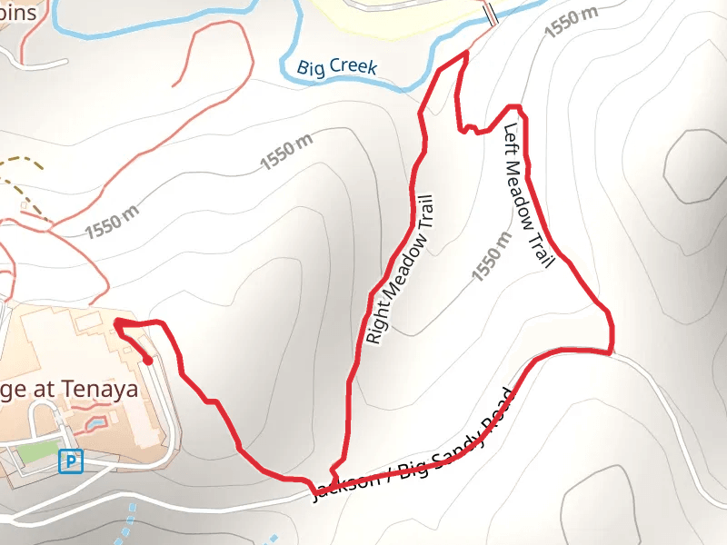 Right Meadow Trail and Left Meadow Loop Trail