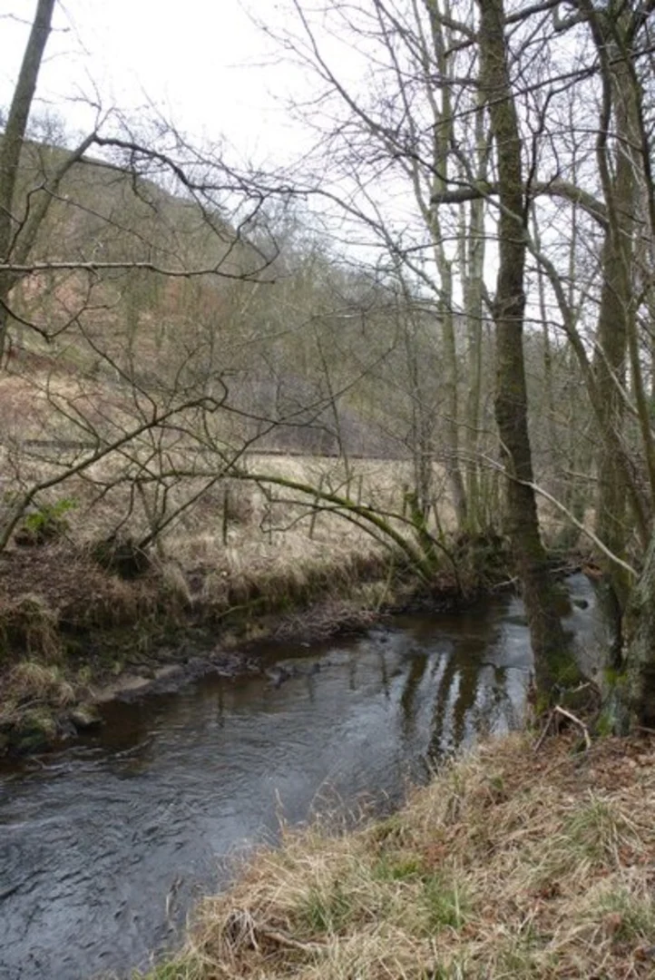 An image depicting the trail FB Pickering Low Mill and Yaud Sike Lane and its surrounding area.