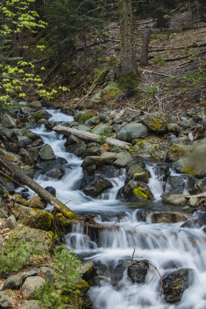 An image depicting the trail Haypress Creek Trail and its surrounding area.