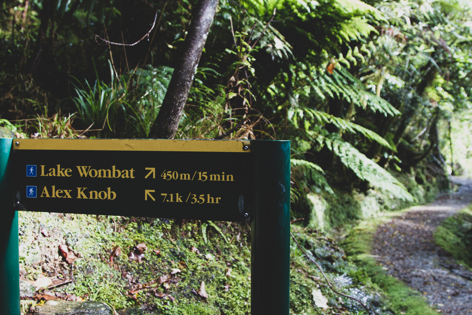 An image depicting the trail Lake Wombat Walk and its surrounding area.