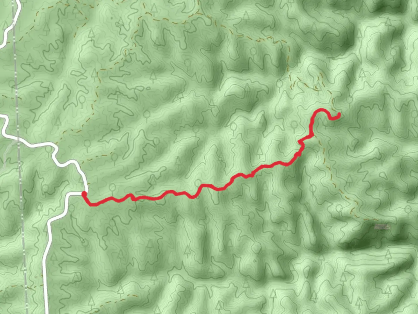 An image depicting the trail Forest Road 323 Winding Stairs and its surrounding area.