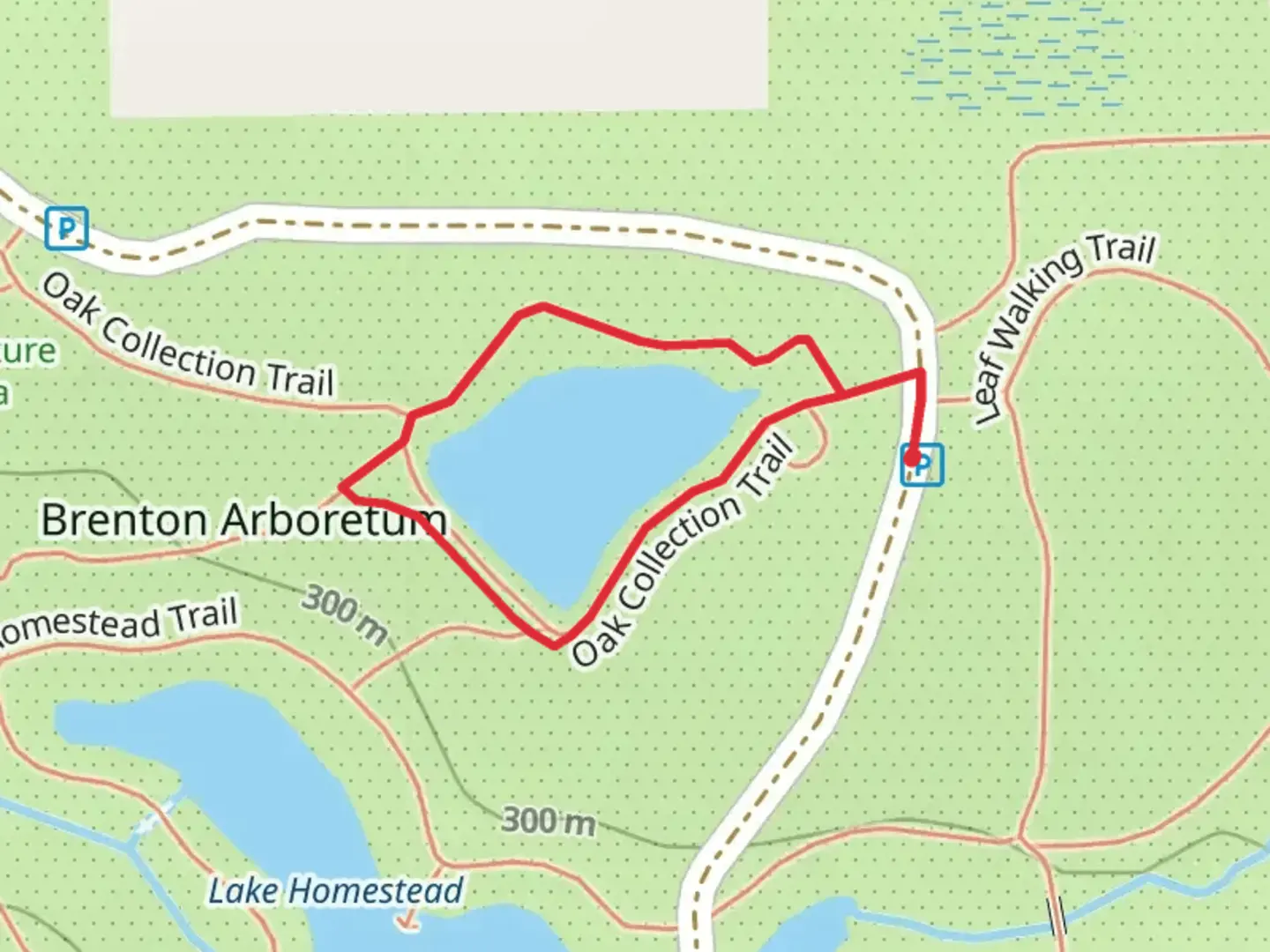 An image depicting the trail Overlook Pond Loop and its surrounding area.