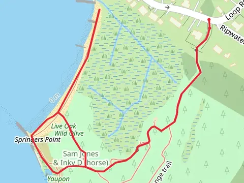 Jim Stephenson Nature Trail Springer's Point