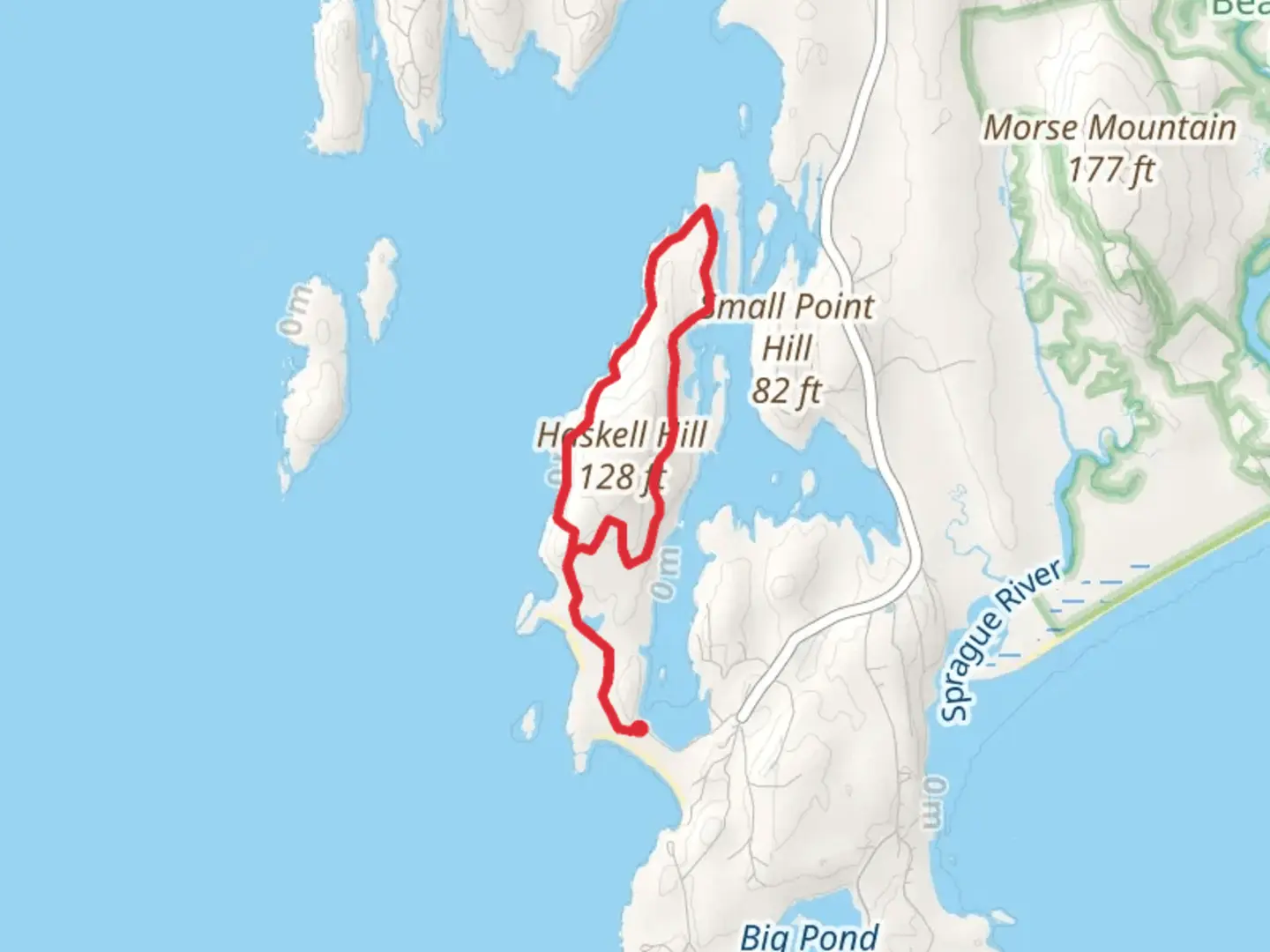 An image depicting the trail Haskell Hill Loop and its surrounding area.
