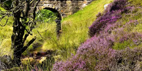 An image depicting the trail Glaisdale and Egton Bridge Walk and its surrounding area.