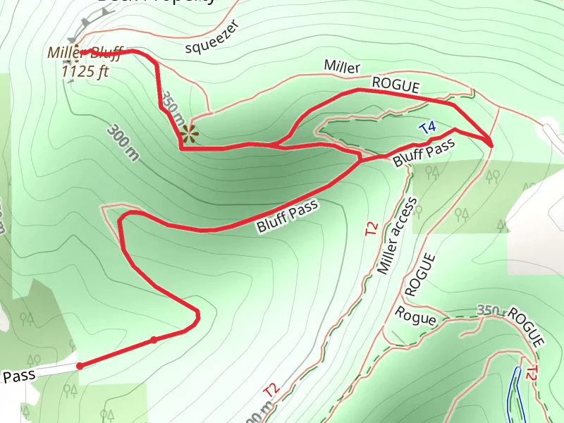 Miller and Bluff Pass Walk