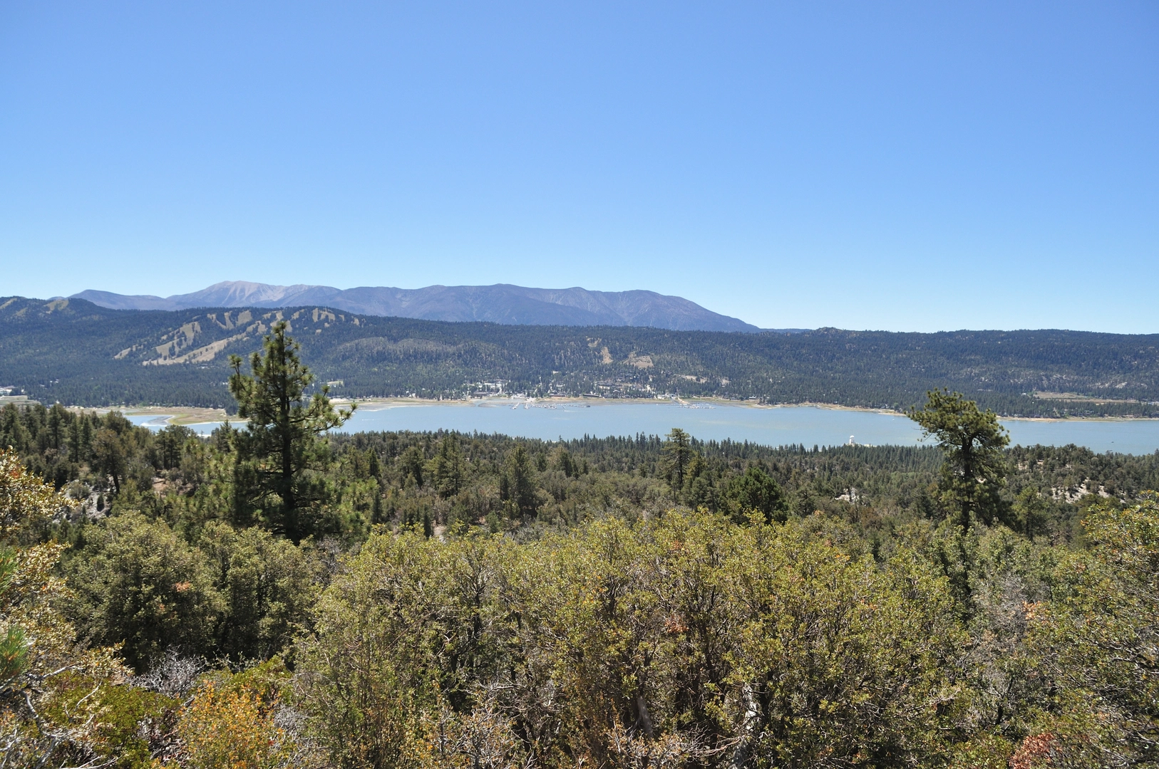 An image depicting the trail Bertha Peak via Cougar Crest Trail and its surrounding area.