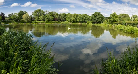 An image depicting the trail Keynsham to Coalpit Heath Walk and its surrounding area.