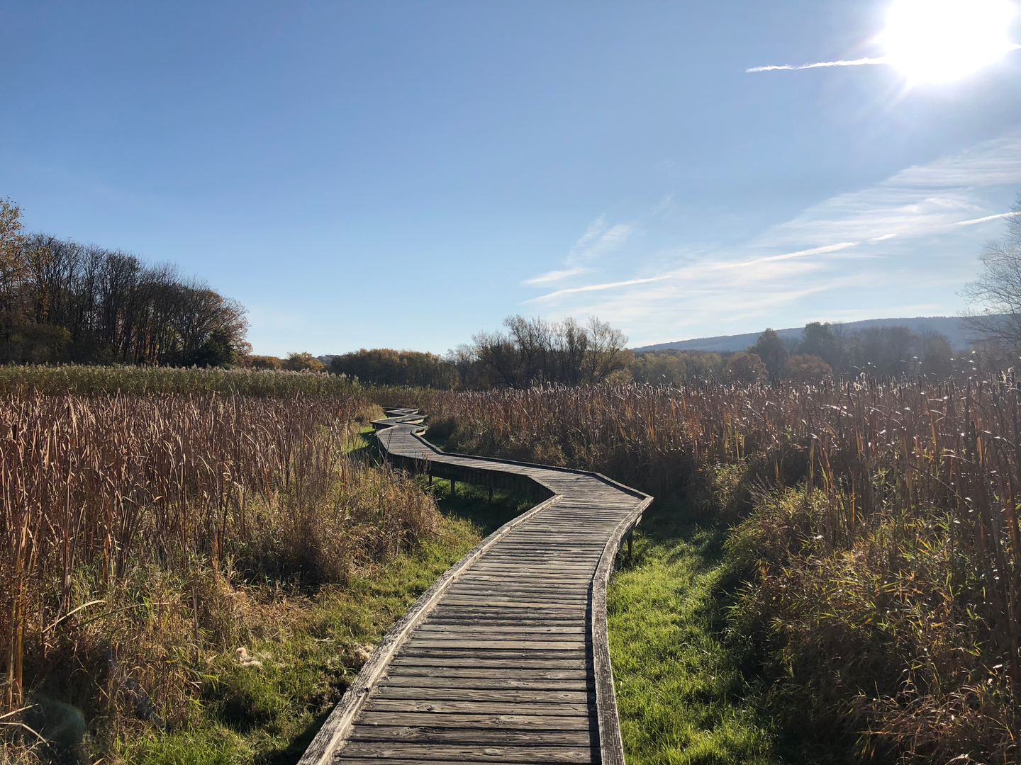 An image depicting the trail Appalachian Trail - Pennsylvania and its surrounding area.