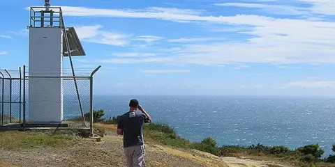 An image depicting the trail Pillar Point via Hilltop Walk and Fossil Point Track and its surrounding area.
