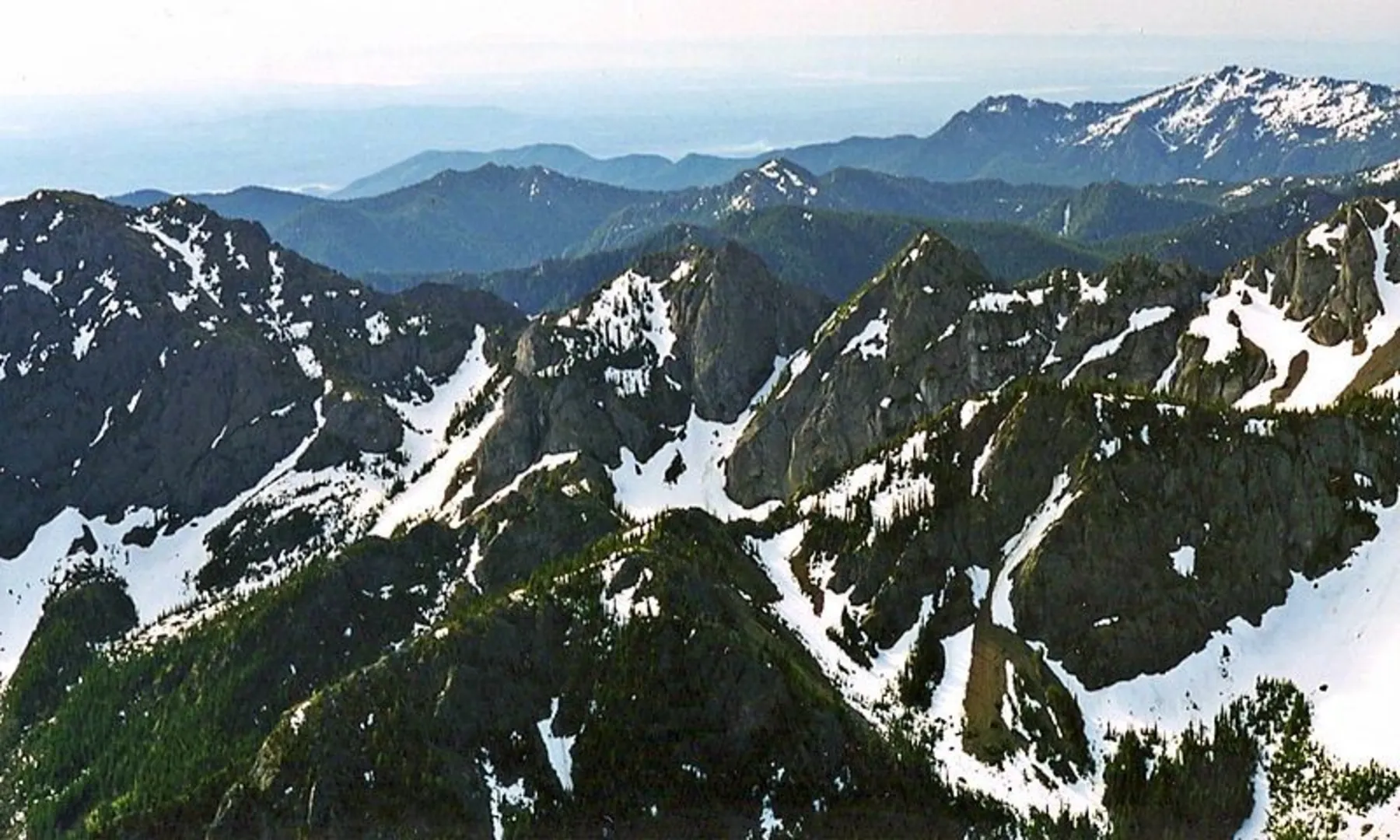 An image depicting the trail Mt Juipter Trail and its surrounding area.