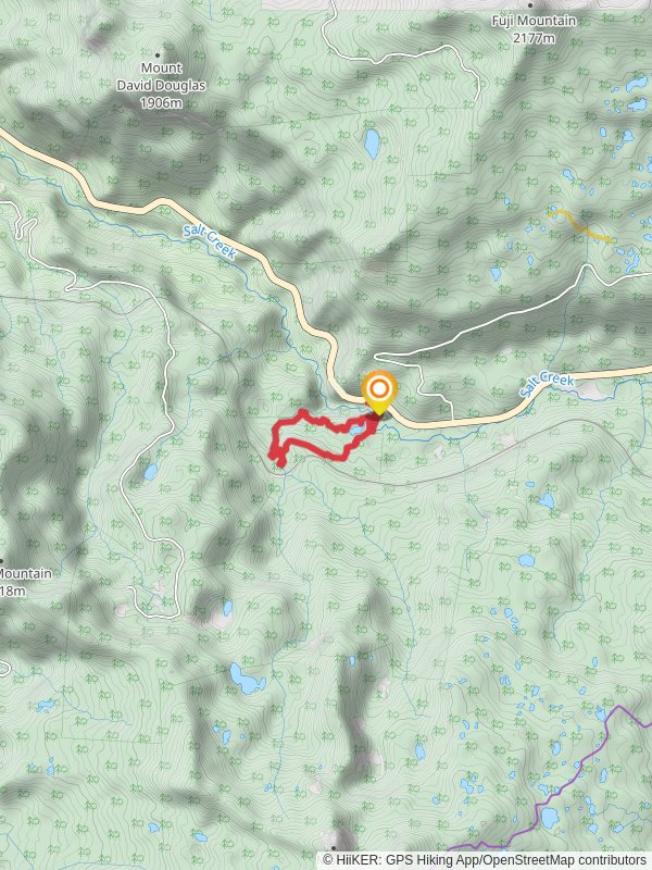 Too Much Bear Lake and Diamond Creek Falls Loop Trail