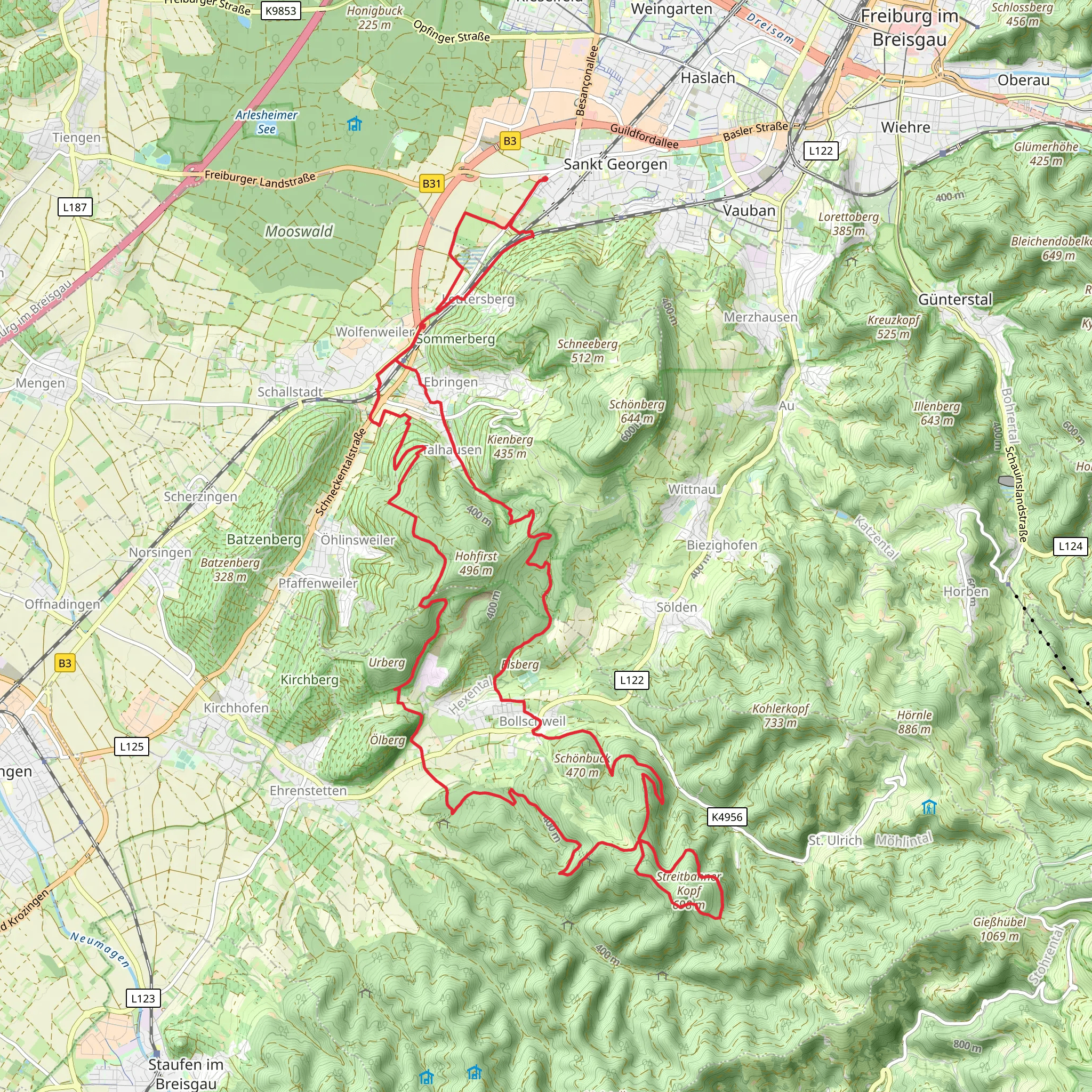 Jungholzwald, Saulachenweg and Kohlerweg Loop mobile static map