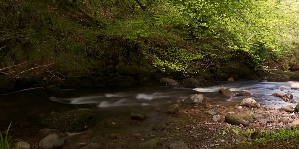 Ballyhoura - Attychraan Loop