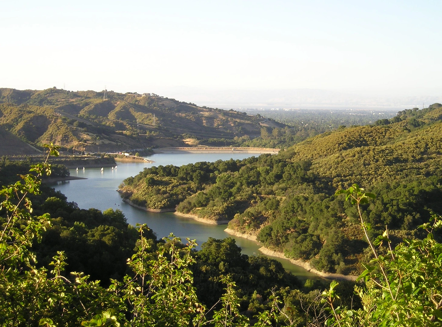 An image depicting the trail Stevens Creek and its surrounding area.