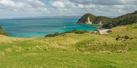 An image depicting the trail Smugglers Bay Loop Track and its surrounding area.