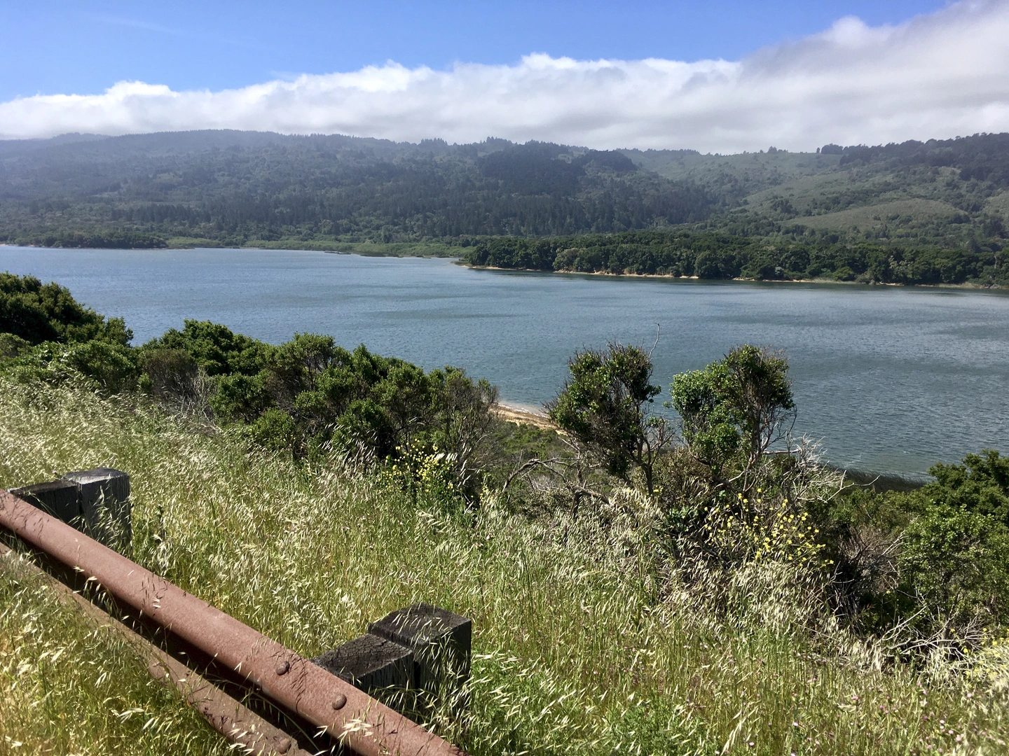 An image depicting the trail Upper Crystal Springs Reservoir East Shore and its surrounding area.