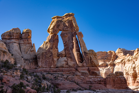 An image depicting the trail Druid Arch Trail and its surrounding area.