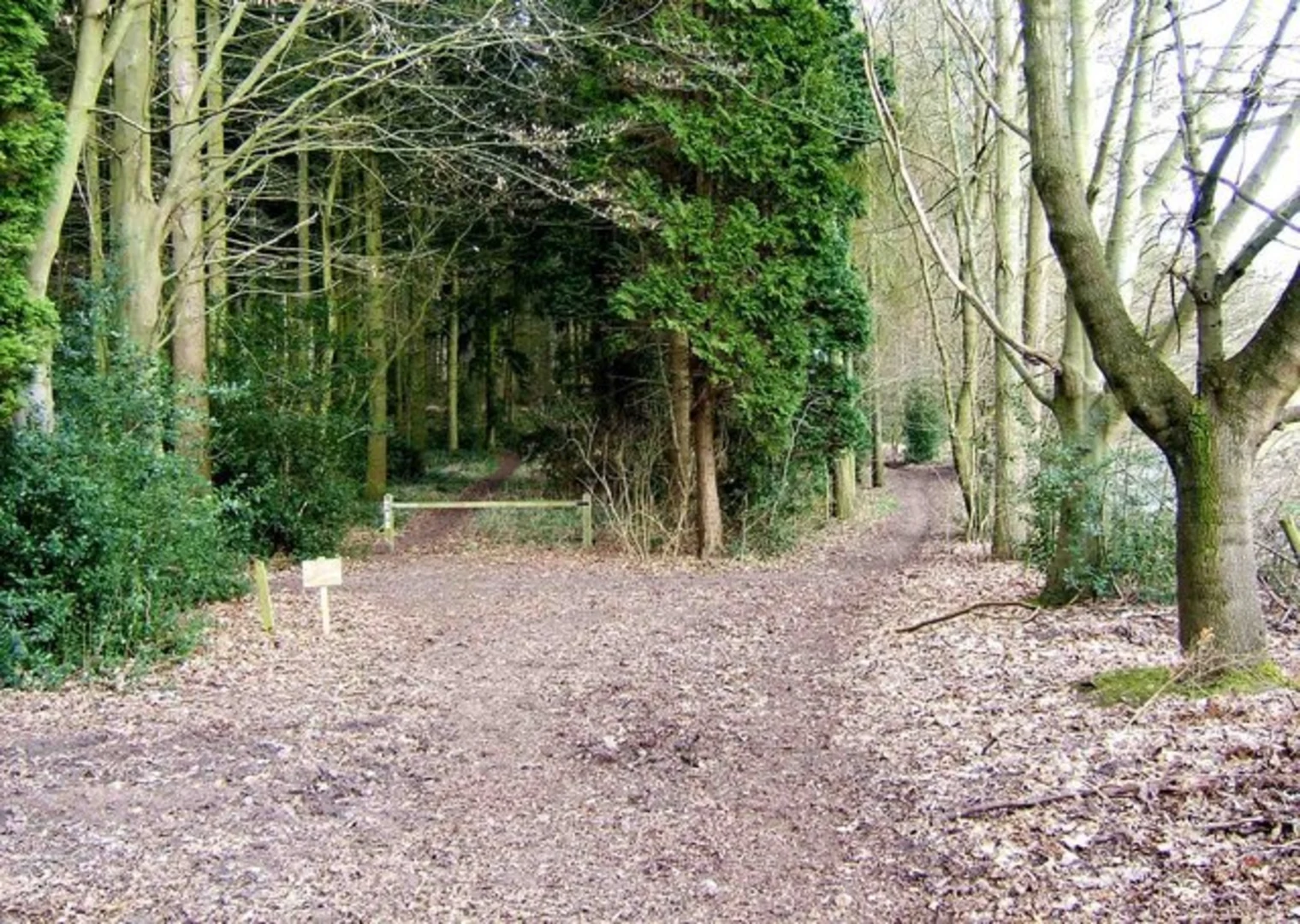 An image depicting the trail Kingsford Country Park Loop and its surrounding area.