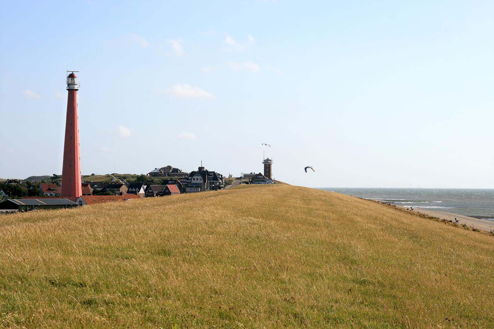 An image depicting the trail Heelderpeel via Beegderheide and its surrounding area.