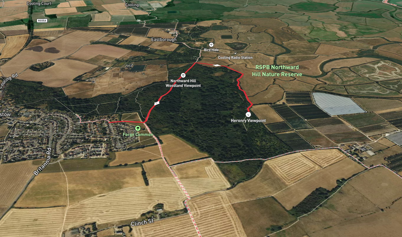 Northward Hill and Heronry Viewpoint Walk