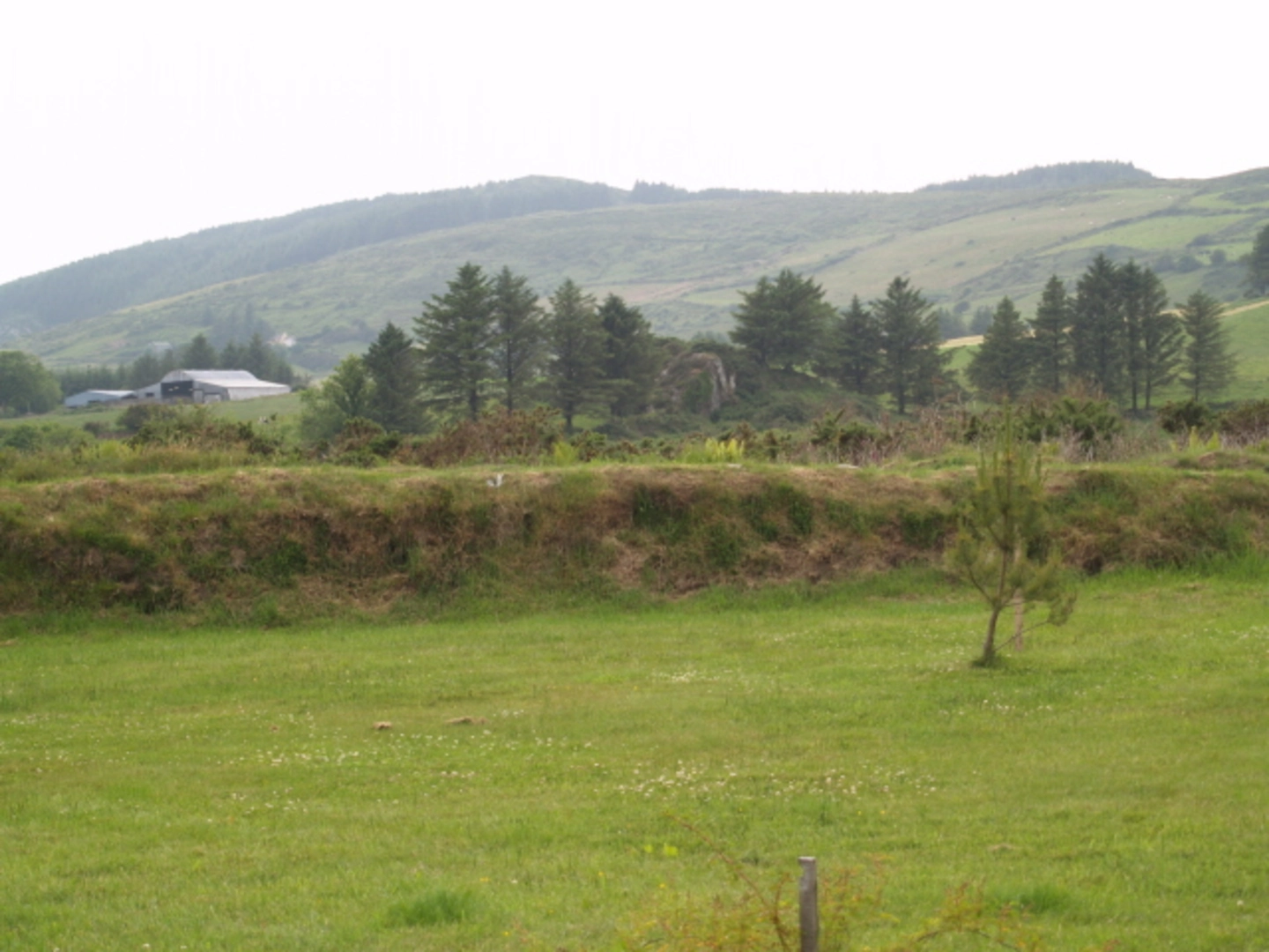 An image depicting the trail Carrigfadda - Carrigfadda Hill Walk and its surrounding area.