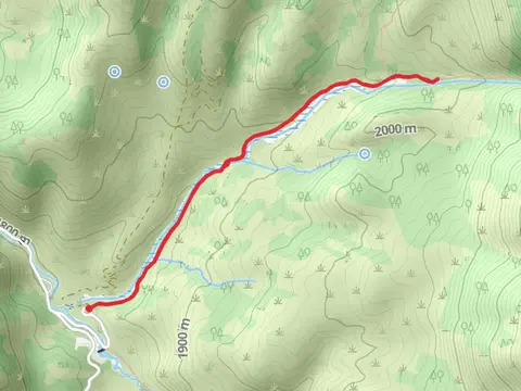 Spawn Creek Trail Out and Back