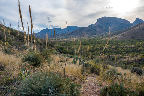 An image depicting the trail Guindani Loop Trail and its surrounding area.