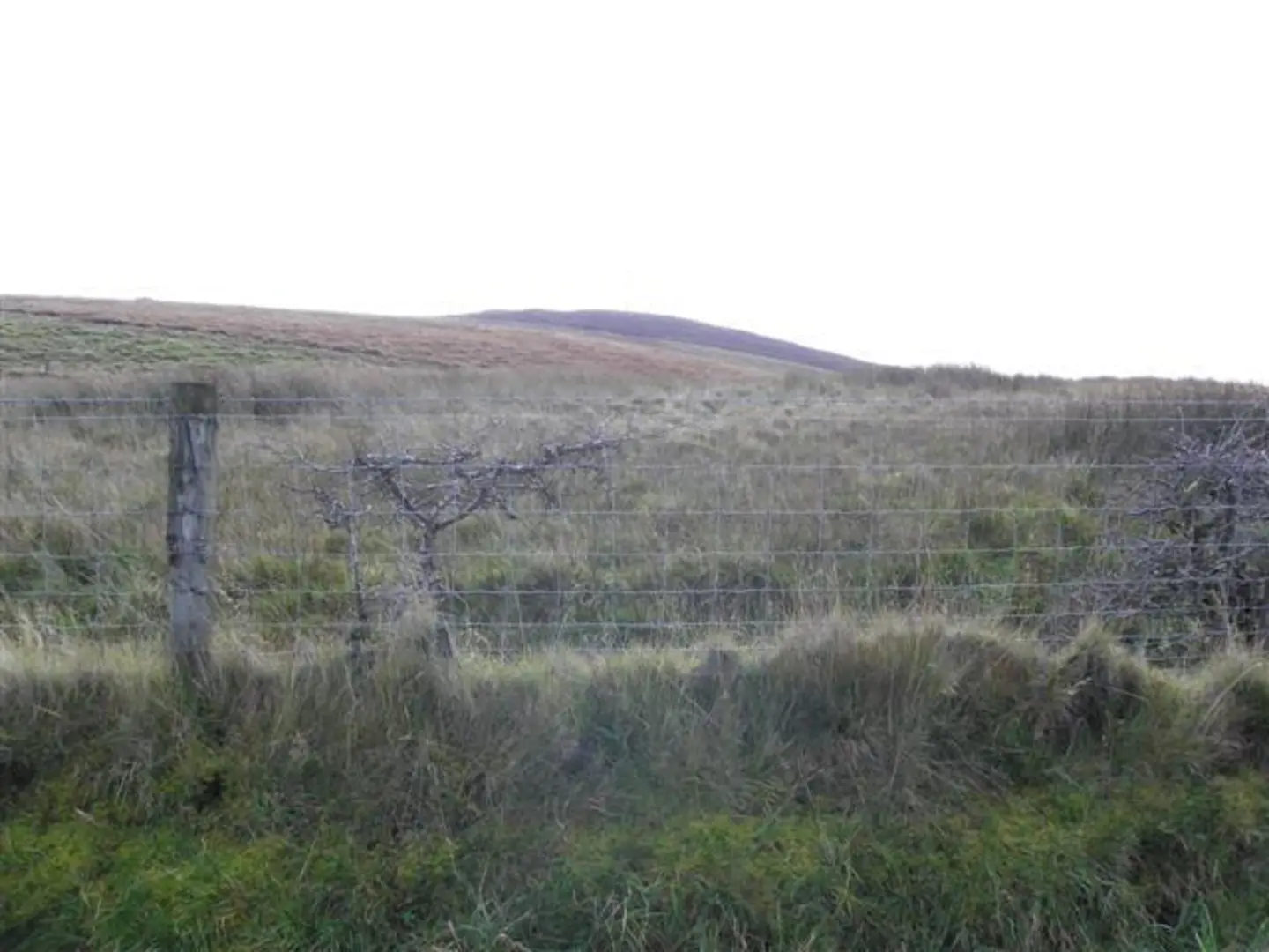An image depicting the trail Skerry and Slievenahanaghan Hill Loop and its surrounding area.