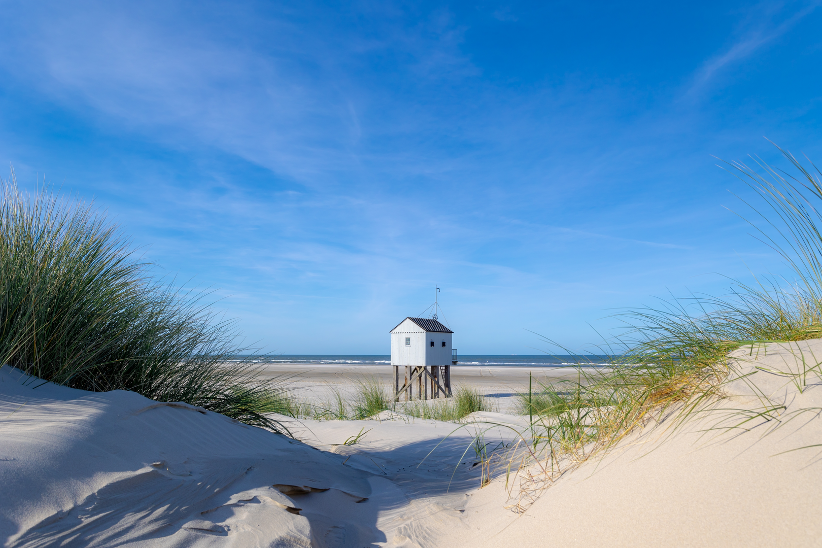 An image depicting the trail Derk Hoekstradtuifdijk and Cupido's Polder Loop and its surrounding area.