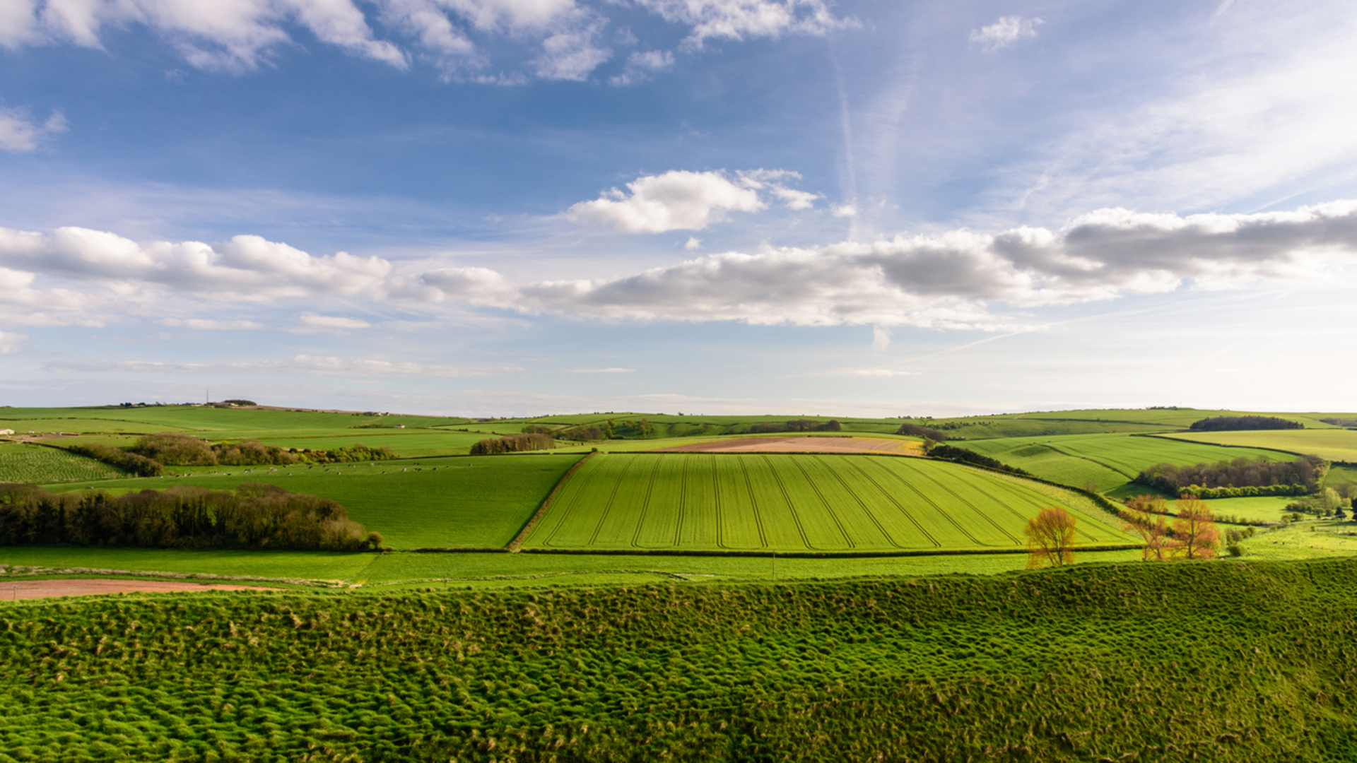 An image depicting the trail South Dorset Ridgeway and its surrounding area.