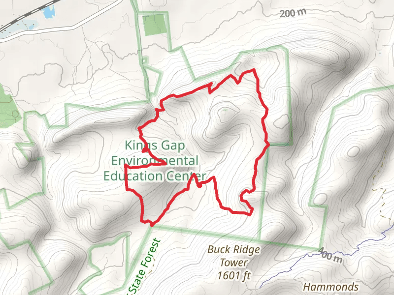 Boundary and Buck Ridge Trail